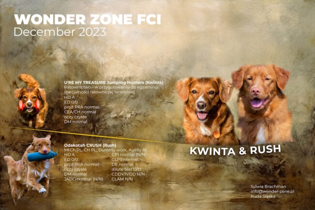 zapowiedź miotu WONDER ZONE FCI – 1200-12.2023
