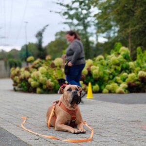 WhatsApp Image 2026-02-27 at 08.36.20